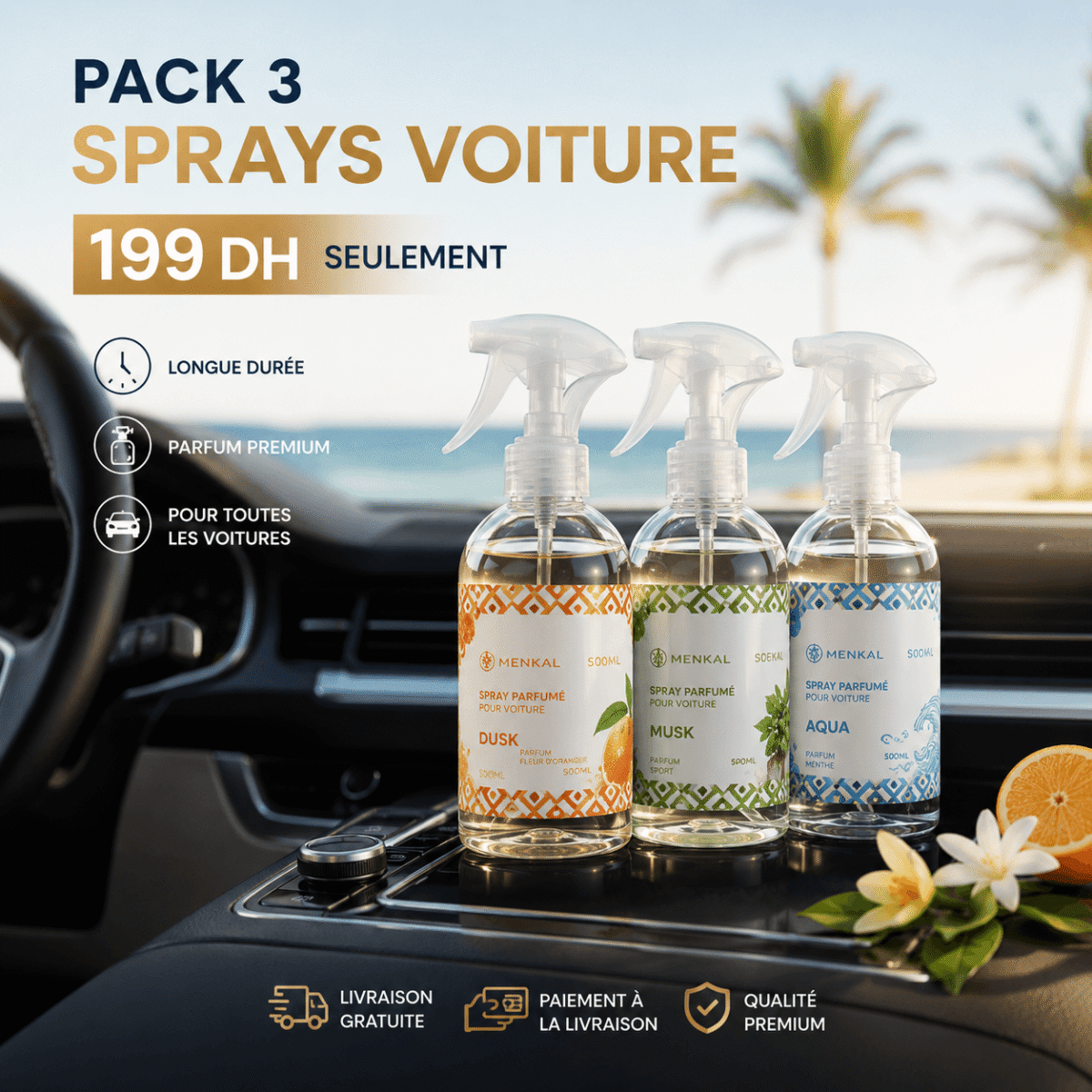 Pack de Sprays de Voitures